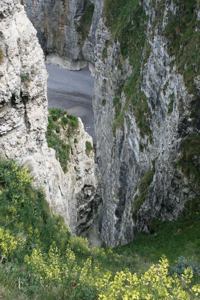 Нормандия. Май 2008. Нормандия. Май 2008.