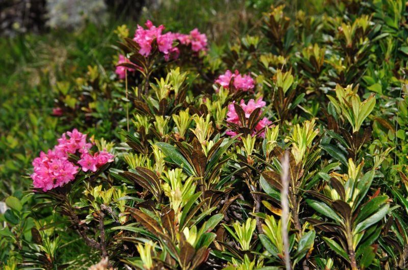 По Европе с малышом на арендованном авто. Закончен.