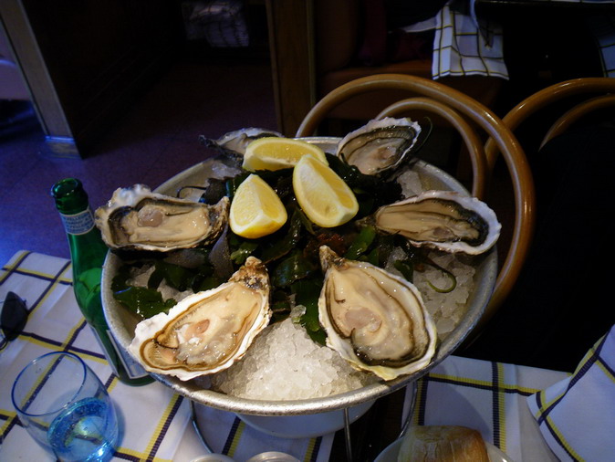 Голландия-Октоберфест 2008-Франция-Бельгия. Траффик.