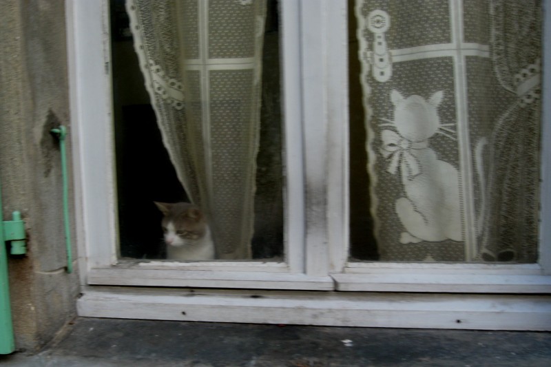 Италия-Франция-Бельгия с ребенком сентябрь 2010.