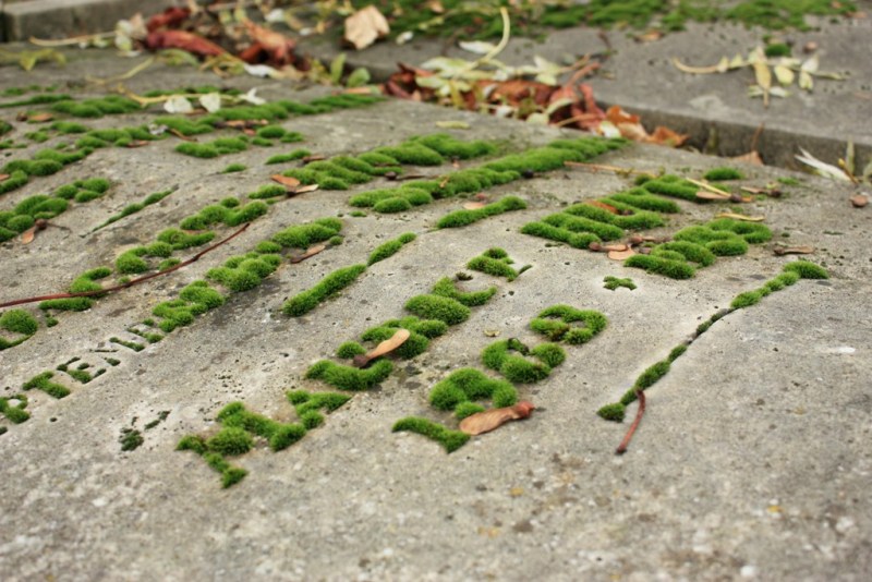 Небо над Берлином..., Регенсбургом, Мюнхеном и Парижем