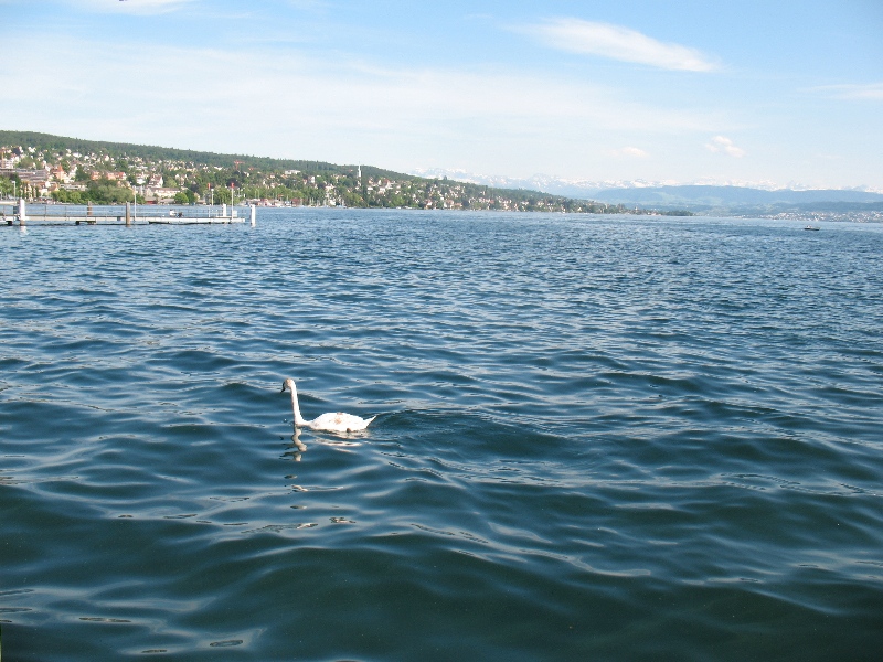 Моя Швейцария за 4 дня (и совсем чуть-чуть Франции) фото