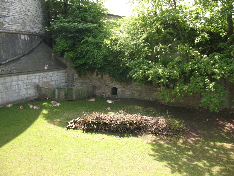 Моя Швейцария за 4 дня (и совсем чуть-чуть Франции) фото