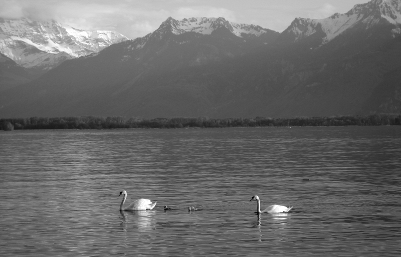 Swiss dreams are made of this... (фото Швейцарии) - трафик!