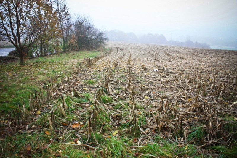 Небо над Берлином..., Регенсбургом, Мюнхеном и Парижем
