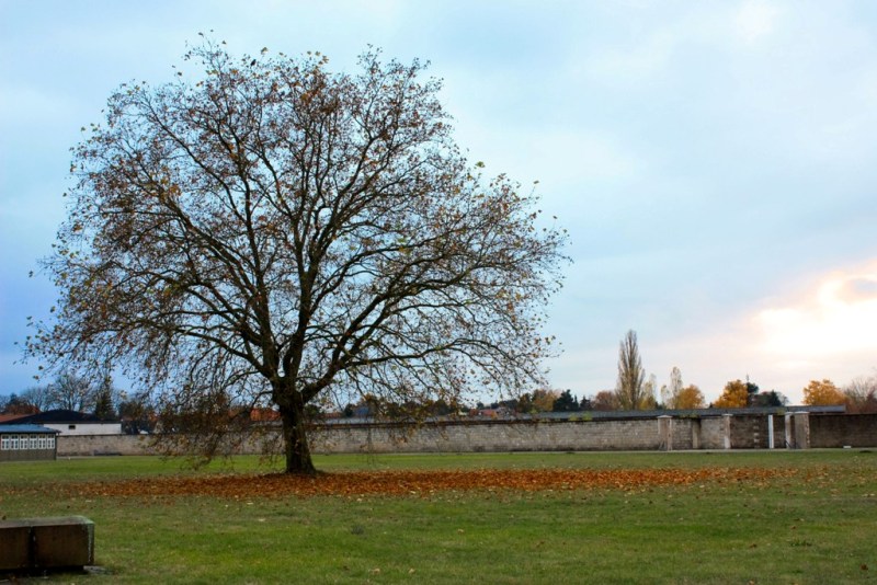 Небо над Берлином..., Регенсбургом, Мюнхеном и Парижем