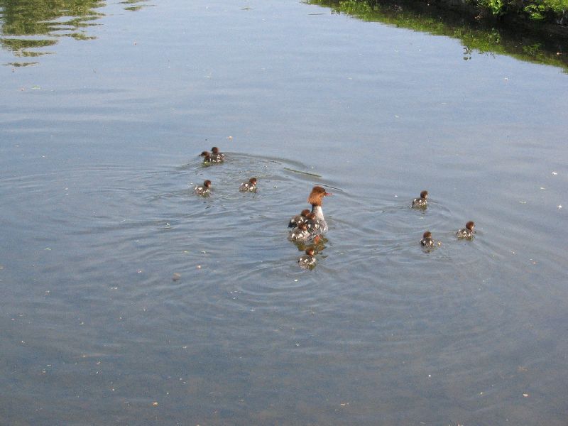 По Европе с малышом на арендованном авто. Закончен.