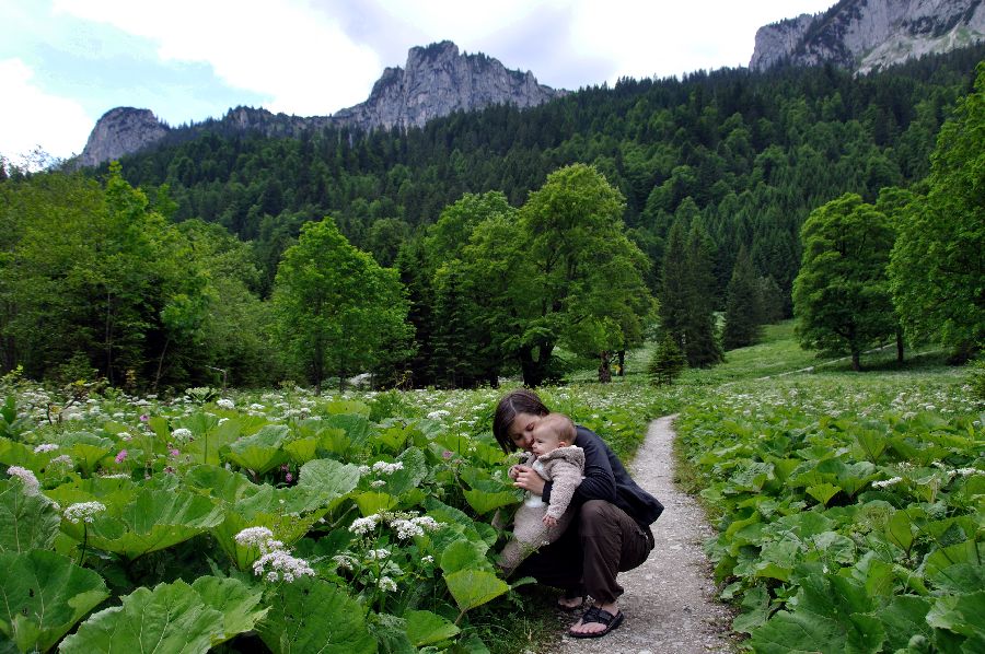 По Европе с малышом на арендованном авто. Закончен.