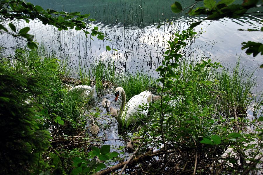 По Европе с малышом на арендованном авто. Закончен.