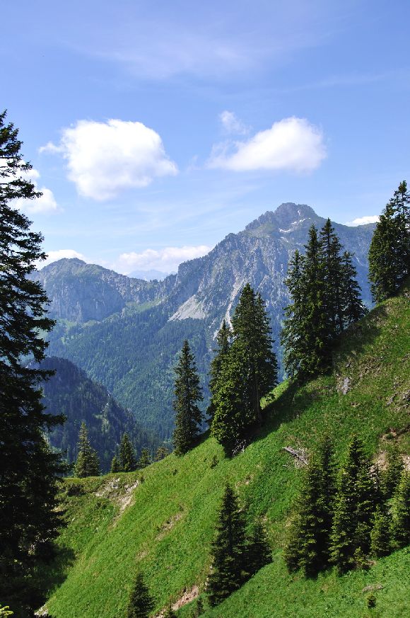 По Европе с малышом на арендованном авто. Закончен.