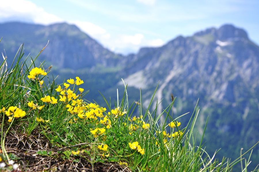 По Европе с малышом на арендованном авто. Закончен.