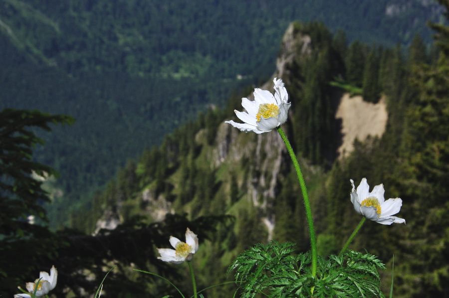 По Европе с малышом на арендованном авто. Закончен.