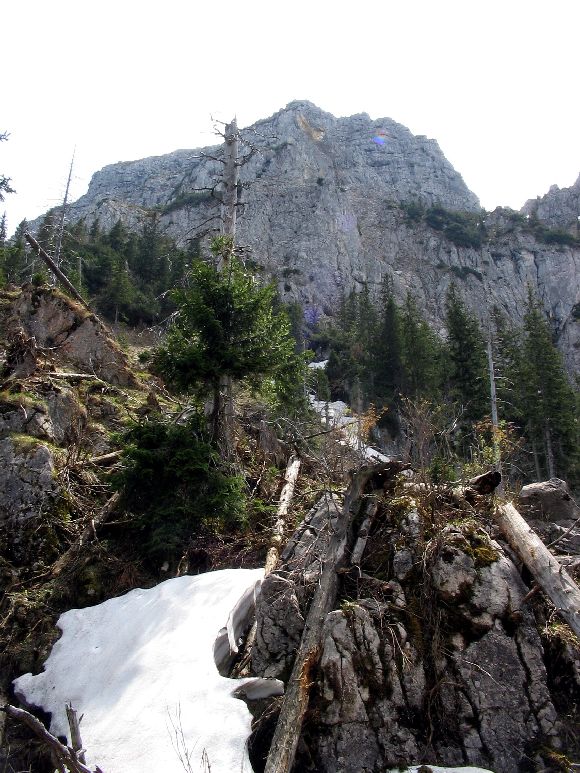 По Европе с малышом на арендованном авто. Закончен.