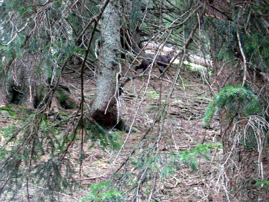 По Европе с малышом на арендованном авто. Закончен.