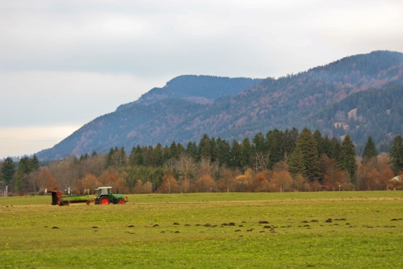 Небо над Берлином..., Регенсбургом, Мюнхеном и Парижем