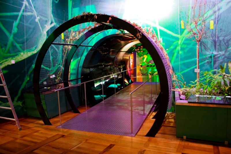 Небо над Берлином..., Регенсбургом, Мюнхеном и Парижем