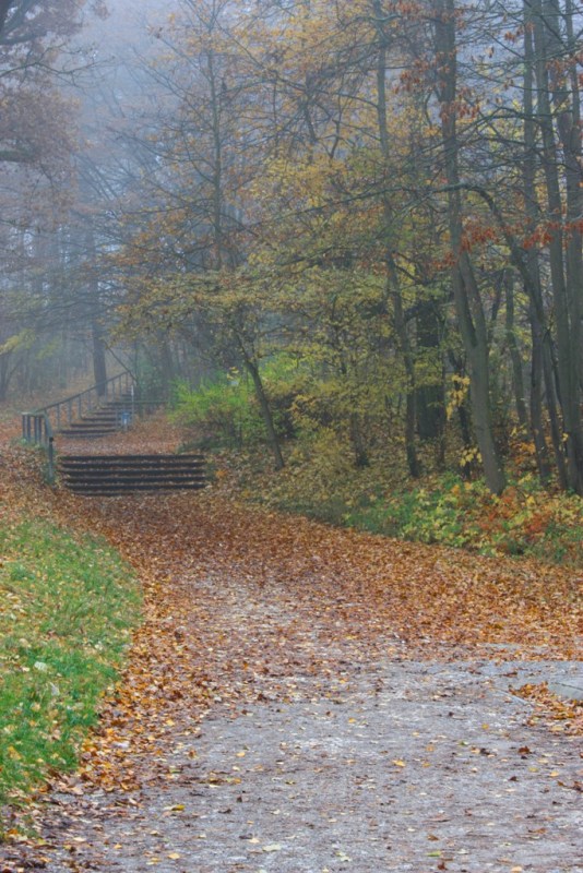 Небо над Берлином..., Регенсбургом, Мюнхеном и Парижем