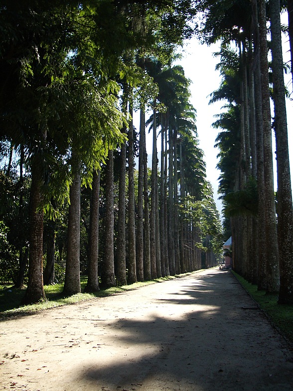 Боливия в июле 2008: краткий отчет и немного картинок