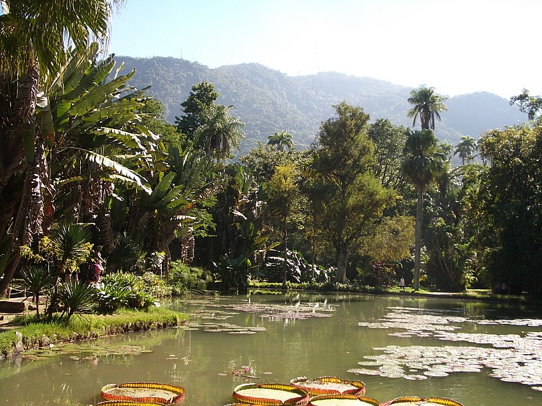 Боливия в июле 2008: краткий отчет и немного картинок