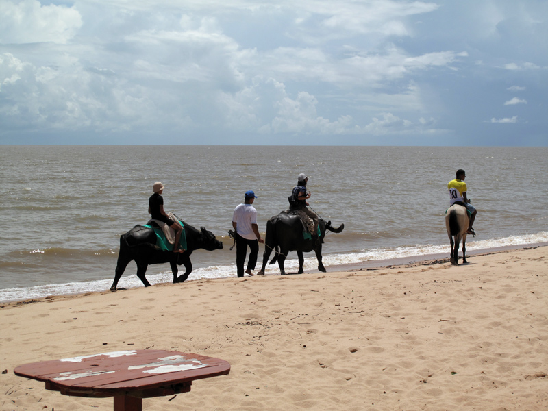 в устье какой реки расположен остров маражо. Смотреть фото в устье какой реки расположен остров маражо. Смотреть картинку в устье какой реки расположен остров маражо. Картинка про в устье какой реки расположен остров маражо. Фото в устье какой реки расположен остров маражо в устье какой реки расположен остров маражо. Смотреть фото в устье какой реки расположен остров маражо. Смотреть картинку в устье какой реки расположен остров маражо. Картинка про в устье какой реки расположен остров маражо. Фото в устье какой реки расположен остров маражо