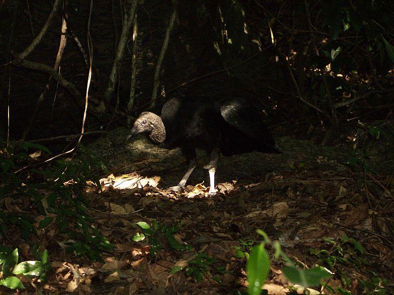 Боливия в июле 2008: краткий отчет и немного картинок