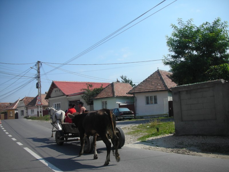 Румыния транзитом (отчет+фото)