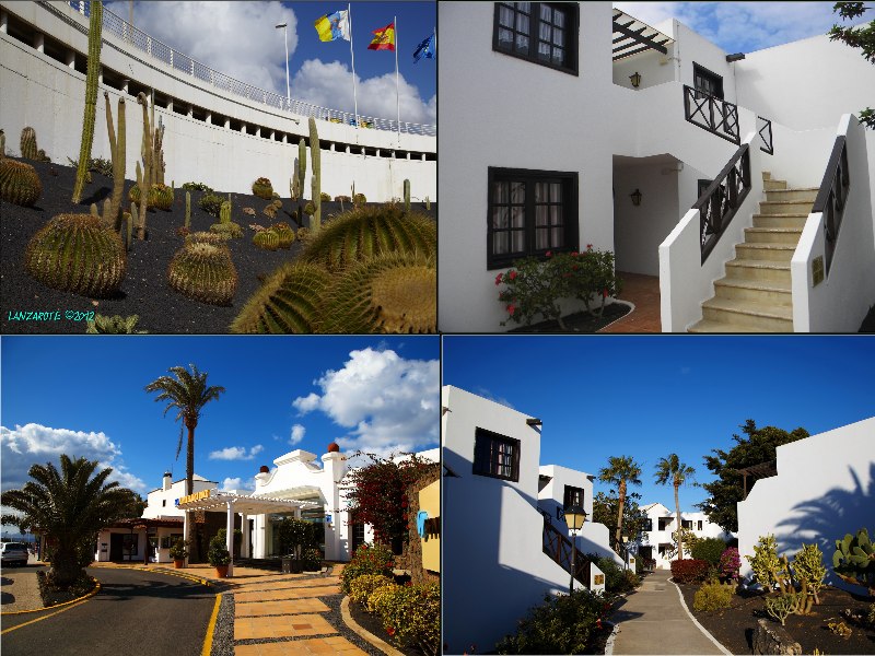 Канарский коллаж. Lanzarote + Tenerife Канарский коллаж. Lanzarote + Tenerife