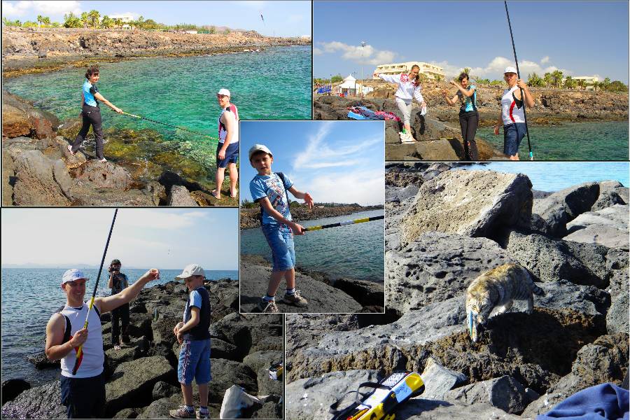 Канарский коллаж. Lanzarote + Tenerife Канарский коллаж. Lanzarote + Tenerife