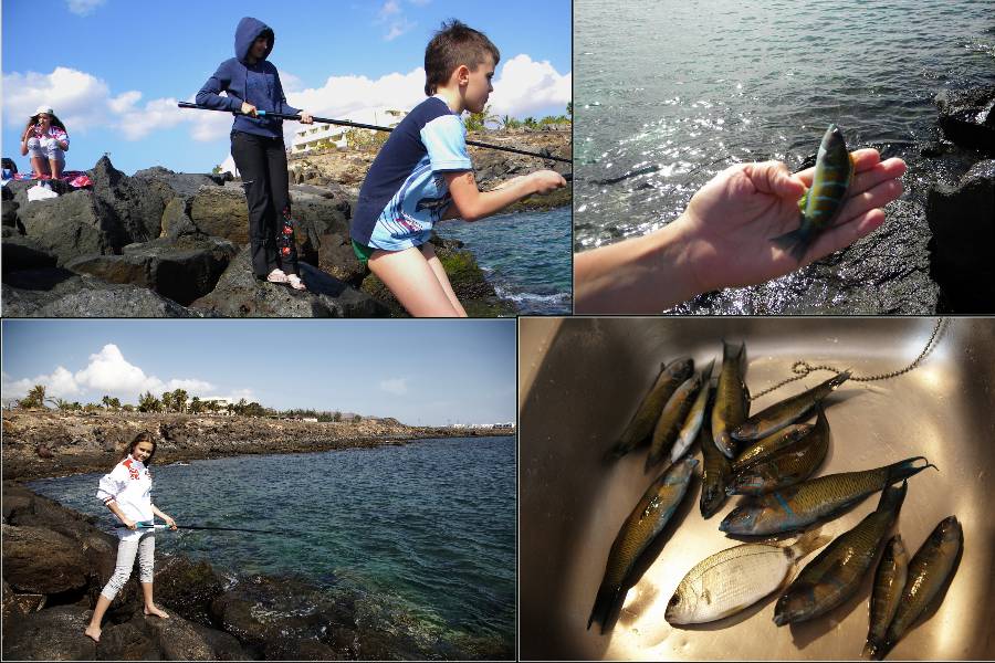 Канарский коллаж. Lanzarote + Tenerife Канарский коллаж. Lanzarote + Tenerife