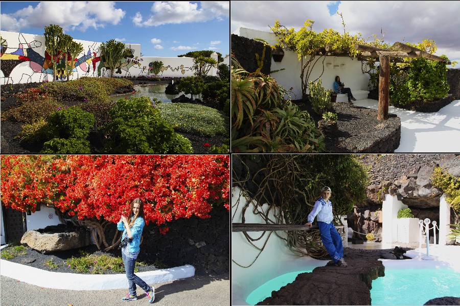 Канарский коллаж. Lanzarote + Tenerife Канарский коллаж. Lanzarote + Tenerife