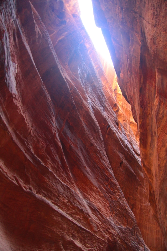 Израиль и Иордания. Картинки и немного инфо.