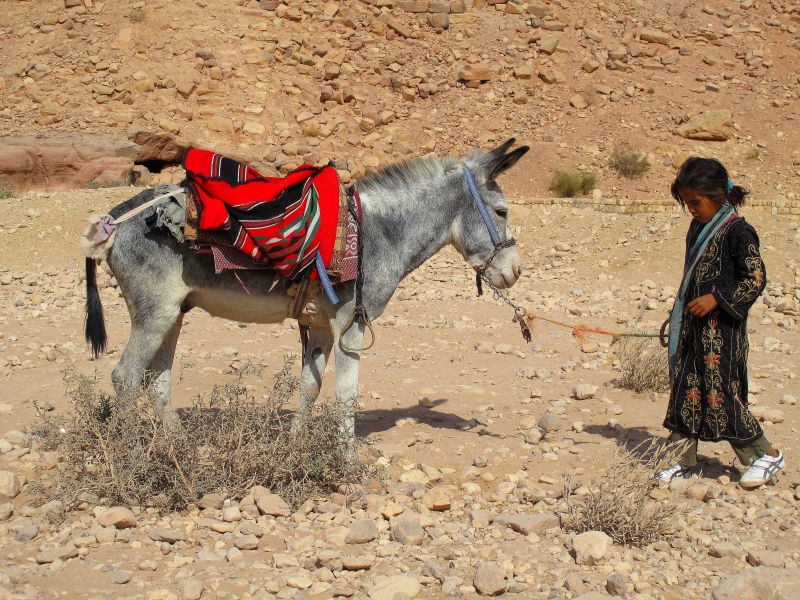 Израиль и Иордания. Картинки и немного инфо.