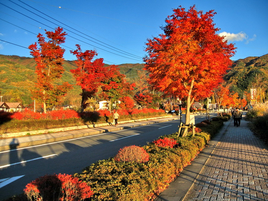 Япония: гора Фудзи и Пять озер Фудзи