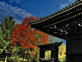 Краски японской осени 2007