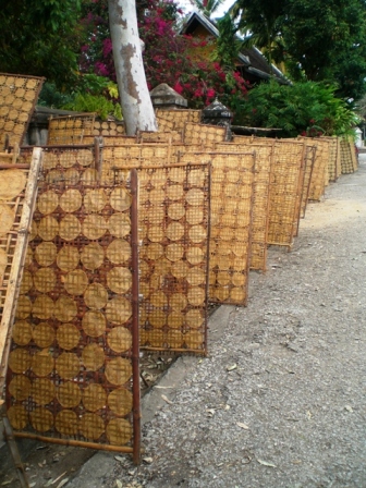 LPDR - Lao People Don’t Rush