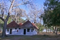 cedral cedral