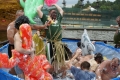 встреча лета 2008 встреча лета 2008