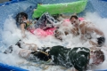 встреча лета 2008 встреча лета 2008