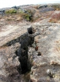 nord 2 nord 2