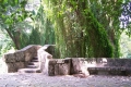 Rio Almendares 3