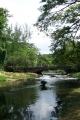 Rio Almendares 4