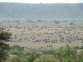 Kenia01/2011 2 Kenia01/2011 2