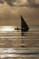 zanzibar3 8 zanzibar3 8