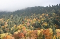 Архыз. Осень