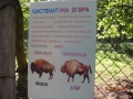 Приокско-Террасный заповедник