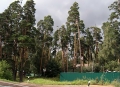 Жуковский