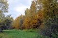 Золотая осень. Киев. Музей Пирогово16 3