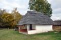 Золотая осень. Киев. Музей Пирогово17 3