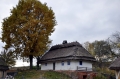 Золотая осень. Киев. Музей Пирогово20