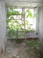 Припять Припять
